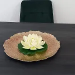 Aurora's 公寓 *